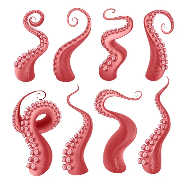 Red Octopus Kraken Tentacles Suckers Realistic Set Isolated White Background — Stock Vector