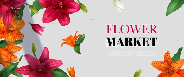 Realisztikus Virágpiaci Poszter Különböző Színű Liliom Virágok Vektor Illusztráció — Stock Vector