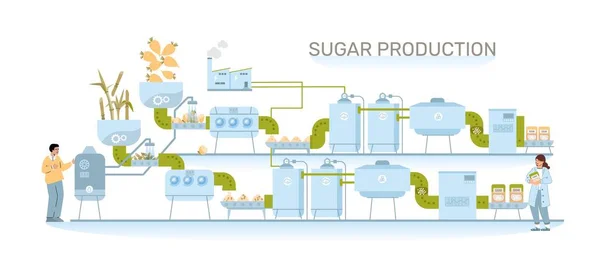 Suikerproductie Vlakke Samenstelling Van Tekst Vooraanzicht Van Hele Fabriekslijn Met — Stockvector