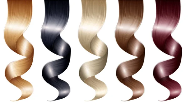 现实的卷曲女性发套与孤立的自然发卷画在各种颜色和阴影矢量插图 — 图库矢量图片