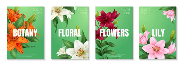 现实的百合花海报集与五彩缤纷的花朵隔离矢量插图 — 图库矢量图片