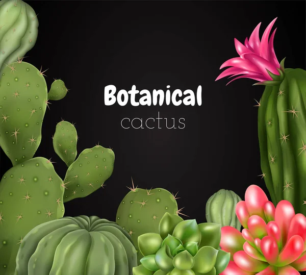 Composición Realista Cactus Con Texto Adornado Pizarra Rodeado Imágenes Diferentes — Vector de stock