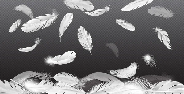 Ρεαλιστικά Φτερά Που Πέφτουν Σύνθεση Διαφανές Φόντο Και Πέφτουν Λευκά — Διανυσματικό Αρχείο