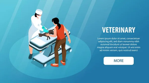 Veterinární Klinika Izometrický Horizontální Webový Banner Veterinární Injekcí Kočičí Vektorové — Stockový vektor