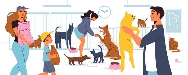 Volontärer Som Besöker Husdjur Skydd Utfodring Och Leka Med Katter — Stock vektor