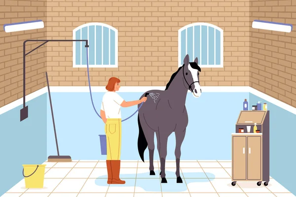 马和人的平面构图展示了女工对洗马的照顾 并附有淋浴器说明 — 图库矢量图片