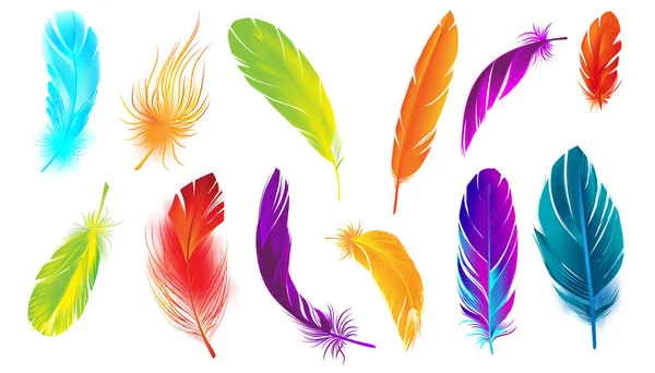 Realistic Feathers Color Set Isolated Images Bird Feather Different Color — Stock Vector