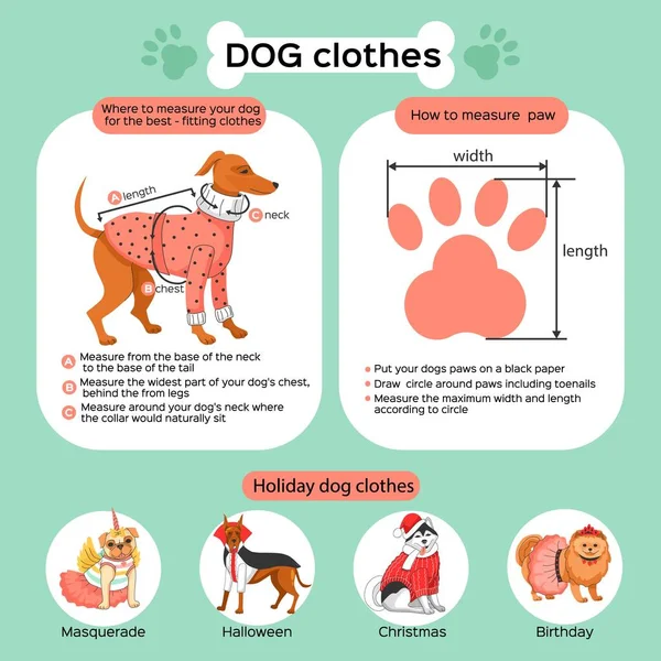 Roupas Cachorro Infográficos Planos Demonstrando Como Medir Pet Feriado Vestuário —  Vetores de Stock
