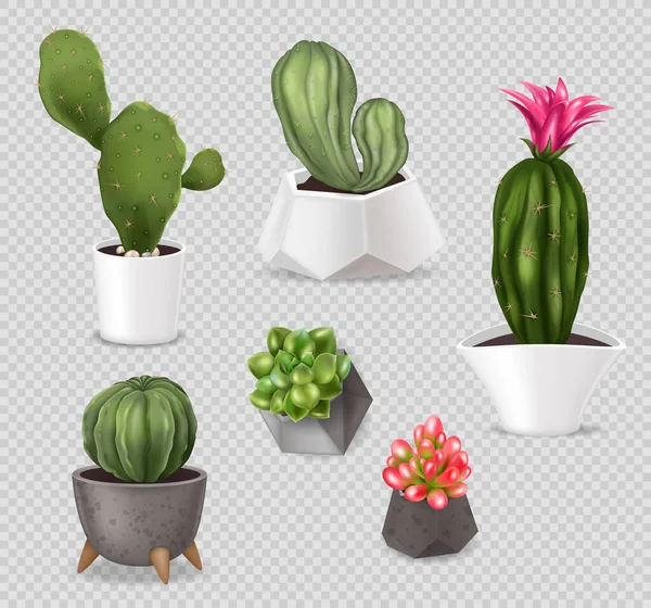 Pot Cactus Réaliste Ensemble Images Isolées Avec Des Plantes Maison — Image vectorielle