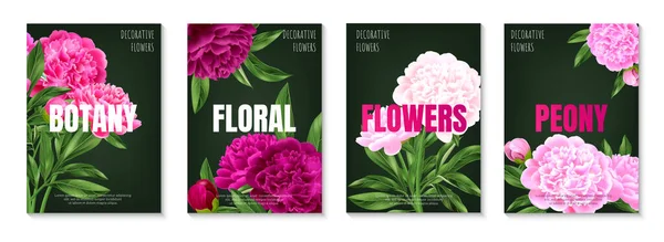 Set Realistic Vertical Botanical Posters Beautiful Blooming Pink Peonies Isolated — Stock Vector