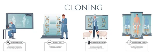 Cloning Genetics Set Infographic Compositions Flat Views Working Scientists Editable — Stock Vector