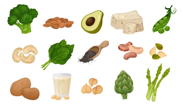 素食主义者和素食主义者的蛋白质中含有含有成熟菜豆和植物病媒图解等分离图标的食物 — 图库矢量图片