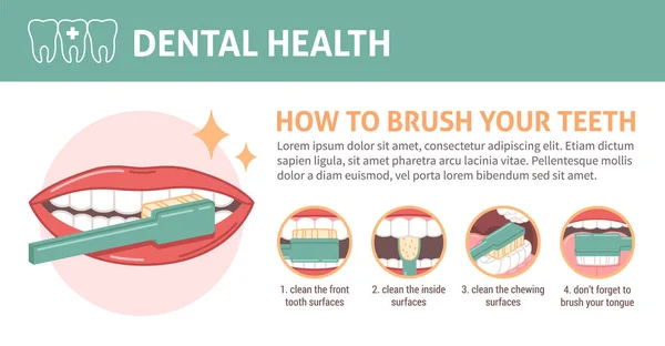 Dental Health Flat Infographics Teeth Brushing Scheme Vector Illustration — Stock Vector
