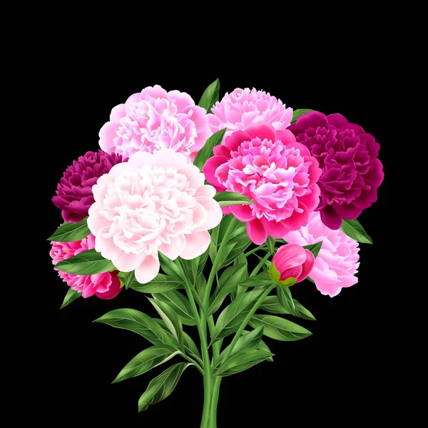 现实的大牡丹花束 各种色调的粉红色在黑色背景矢量插图上 — 图库矢量图片
