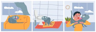 Troll kedi düz kare kompozisyonları ile karşı karşıya. İç mekanlar ve çılgın çizgi film kedileri çizimi vektör illüstrasyonu ile.