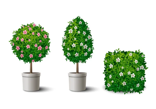 Reális Zöld Virágzó Bokrok Kis Cserepes Fák Különböző Formájú Elszigetelt — Stock Vector