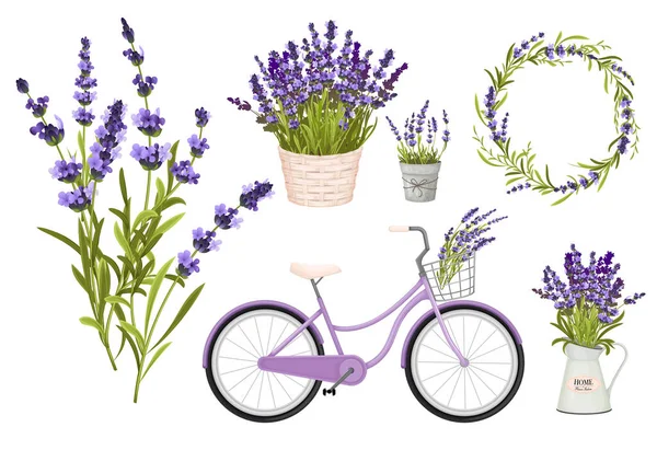 라벤더 그룹과 보라색 자전거 일러스트와 보라색 냄비와 아이콘의 — 스톡 벡터