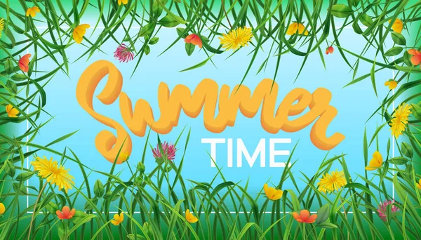 Літній Час Реалістична Рамка Складається Польових Квітів Кульбаби Конюшини Маслом — стоковий вектор