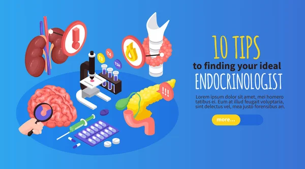 Isometric Endocrinologist Horizontal Banner Ten Tips Finding Your Ideal Endocrinologist — Stock Vector