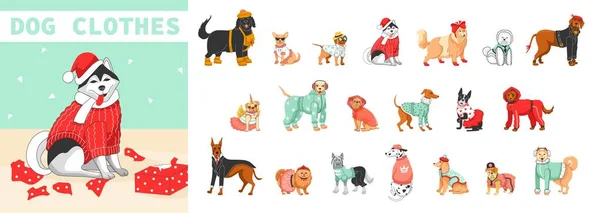 Собачья Одежда Плоский Состав Набором Различных Собак Породы Зимнем Комбинезоне — стоковый вектор