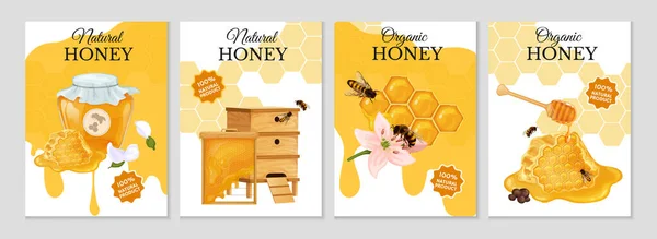 设置四个独立的垂直蜂蜜海报与华丽的文字 蜜蜂的图像和梳子矢量插图 — 图库矢量图片