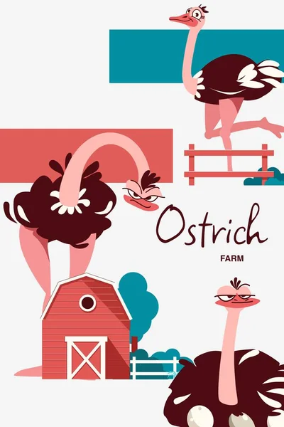 Collage Vertical Ferme Autruche Style Plat Avec Des Oiseaux Drôles — Image vectorielle