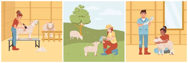Вівчарство Плоский Набір Фермерами Стрижуть Годування Дають Лікування Тваринам Ізольовані — стоковий вектор