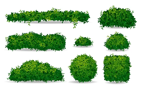 基于白色背景矢量图解隔离的一组现实的绿色灌木和树冠 — 图库矢量图片