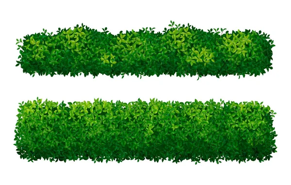 Arbustos Realistas Sebes Verdes Conjunto Isolado Fundo Branco Ilustração Vetorial — Vetor de Stock