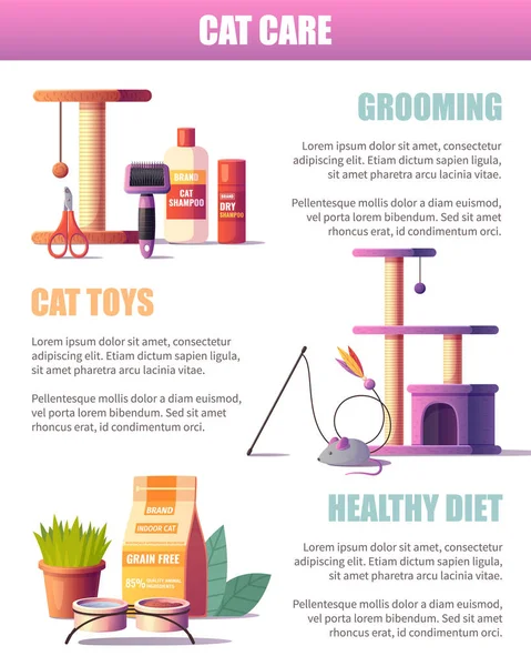 Poster Infografis Perawatan Kucing Berisi Informasi Tentang Mainan Perawatan Dan - Stok Vektor