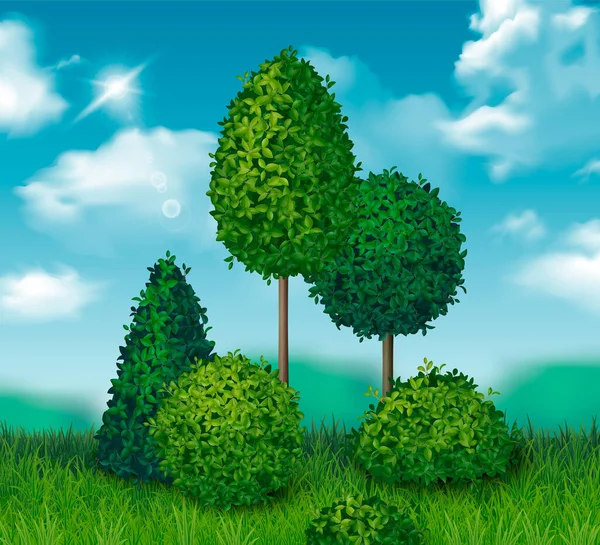 青空リアルなベクターイラストで背景に緑の茂みと小さな木の観賞植物 — ストックベクタ