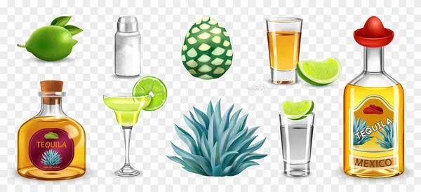 Tequila National Drink Realistic Icons Set Isolated Transparent Background Colored — Stock Vector