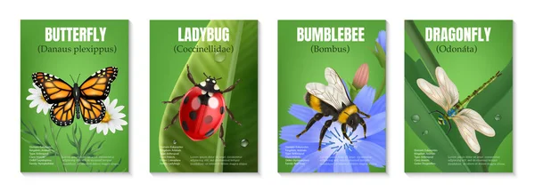 一套写实的四幅垂直海报 附有蝴蝶瓢虫大黄蜂蜻蜓的文字和图像 — 图库矢量图片