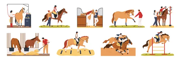 Caballo Personas Conjunto Plano Animales Equestrians Trabajadores Estables Vector Aislado — Archivo Imágenes Vectoriales