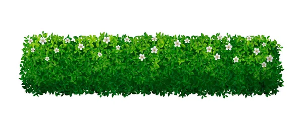 Реалистичный Зеленый Куст Изгородь Белыми Цветами Векторной Иллюстрации — стоковый вектор