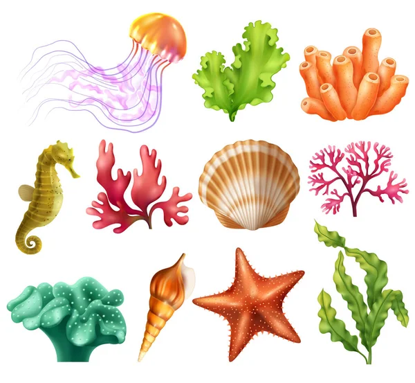 Underwater Organism Realistic Set Jellyfish Seashell Algae Coral Starfish Seaweed — Stock Vector