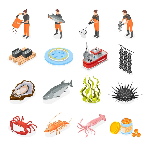 Deniz Ürünlerinin Izometrik Simgeleriyle Boş Arkaplan Çizimi Üzerinde Çalışan Işçilerin — Stok Vektör