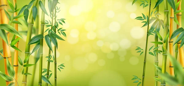 朝の緑の竹林 ボケベクターイラスト付き軽いリアルな背景テンプレート — ストックベクタ