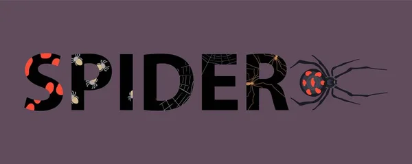 Spider Insecten Compositie Met Platte Tekst Met Letters Bedekt Met — Stockvector