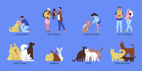 Háziállat Menhely Kompozíciók Készlet Macskák Kutyák Nyulak Önkéntesek Állatok Szerelmeseinek — Stock Vector