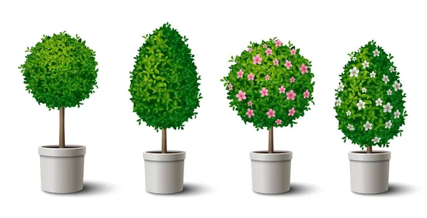 Pequenas Árvores Verdes Forma Vasos Com Sem Flores Realista Conjunto — Vetor de Stock