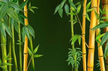 Gerçekçi bambu konsept vektör bambu ağaç gövdeleri siyah arkaplan illüstrasyonunda yan taraflarda