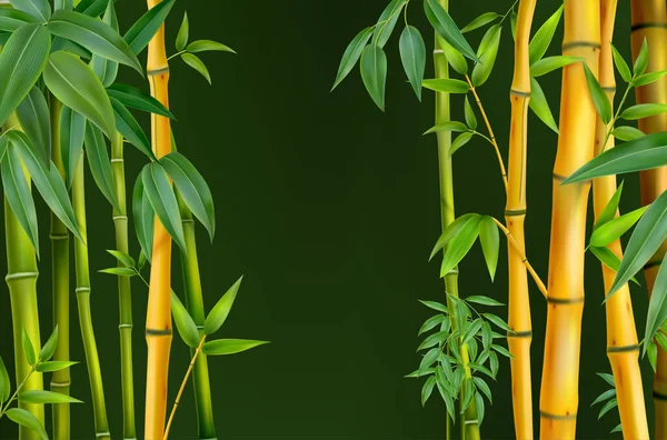 Realistico Bambù Concetto Vettore Tronchi Albero Bambù Sui Lati Sfondo — Vettoriale Stock