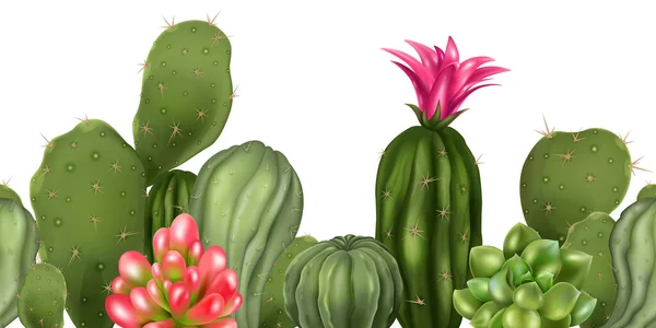 Realista Composición Sin Costura Cactus Patrón Horizontal Con Encimeras Plantas — Vector de stock