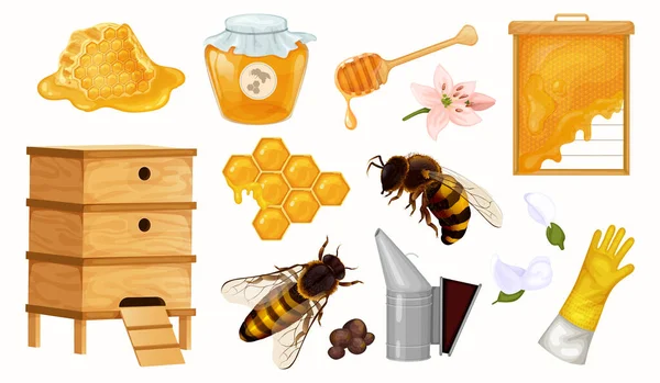 Biodlingsutrustning Honung Set Med Isolerade Bilder Bin Bikupor Bikaka Burk — Stock vektor