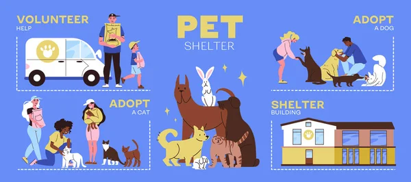 Infographies Abris Pour Animaux Avec Aide Bénévoles Personnes Adoptant Des — Image vectorielle