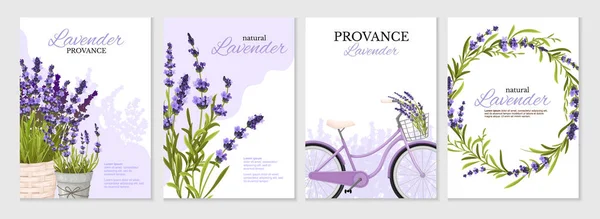 Floral Isolated Posters Set Decorated Lavender Sprigs Pots Bicycle Basket — Stock Vector