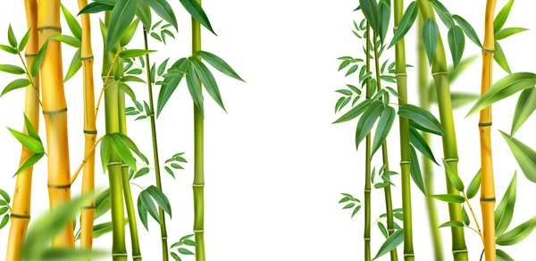 Realistic Bamboo Isolated Composition Yellow Green Bamboo Trunks Sides Vector — Stock Vector