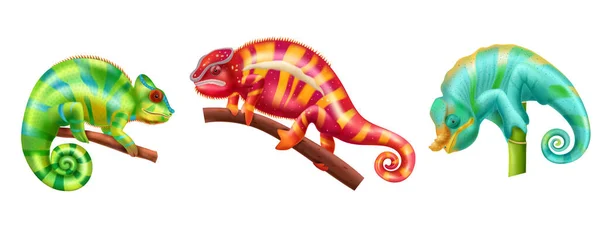 Realistyczne Kameleon Jaszczurki Ikona Zestaw Zielonym Czerwonym Jasnoniebieskim Kolorem Wektor — Wektor stockowy