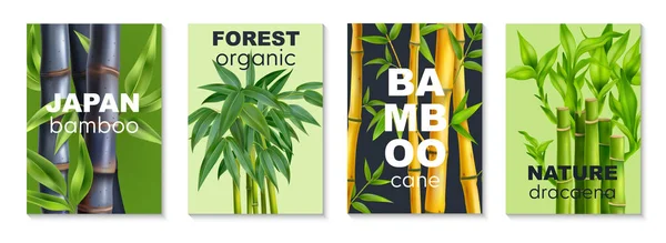 Cuatro Vertical Realista Cartel Bambú Conjunto Con Japón Bosque Bambú — Vector de stock